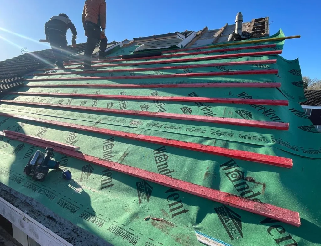 WhatsApp Image 2025-03-16 at 4.03.59 PM (1)